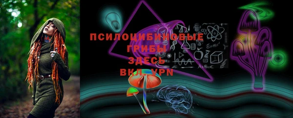 spice Алексеевка
