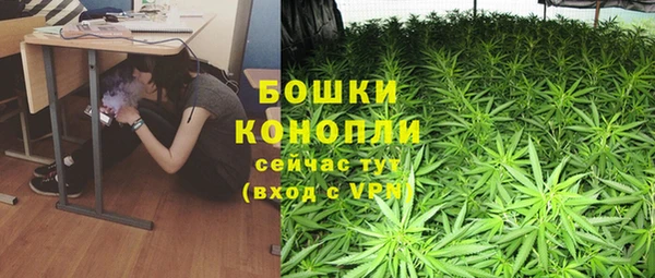 spice Алексеевка