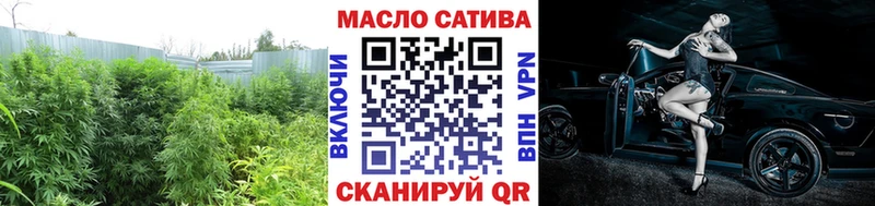 OMG вход  Гвардейск  ТГК THC oil  купить наркотик 