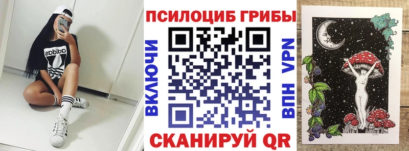 даркнет сайт  Гвардейск  Галлюциногенные грибы ЛСД 